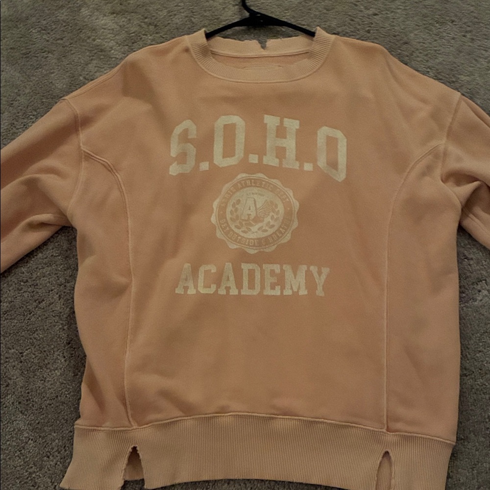 Aerie Women's Peach Academy Sweater worn 1